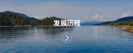 發展歷程